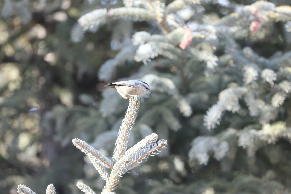 506603670_8c9669ac-40a4-40a1-9137-68be49b1a406~3.jpg 506603670_8c9669ac-40a4-40a1-9137-68be49b1a406~3.jpg