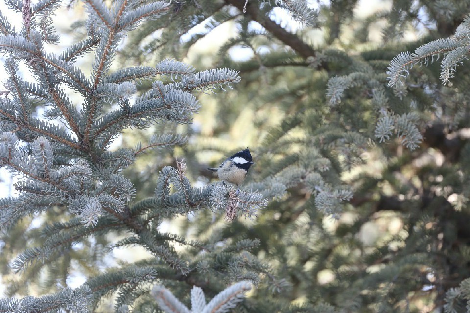 506603670_a095e57d-9f73-47ce-9597-b593f4a97a4e~3.jpg 506603670_a095e57d-9f73-47ce-9597-b593f4a97a4e~3.jpg