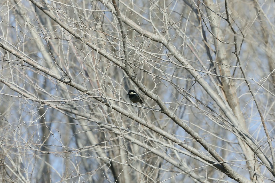 506603670_ed8a5719-0854-4f5a-aa6a-2bec62578866~3.jpg 506603670_ed8a5719-0854-4f5a-aa6a-2bec62578866~3.jpg