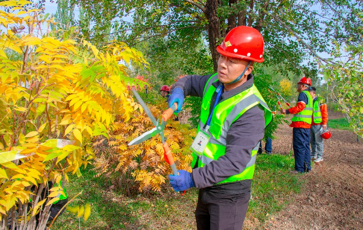 506695508_cde5a03f-bba5-4715-8ba3-771d039f5d82~1.jpg 506695508_cde5a03f-bba5-4715-8ba3-771d039f5d82~1.jpg